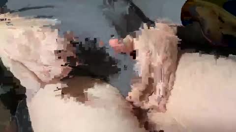 Heath online show from 03-03-25, 01:53