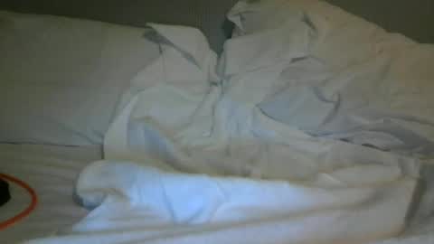 Snapshot of bobsmith2022985 chatting on 06-26-26, 12:26 bobsmith2022985 online show from 06-26-26, 12:26