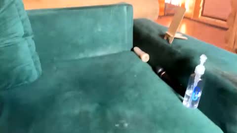 Snapshot of bohemianrhapsody1 chatting on 10-08-25, 10:35 Nail and Olivia online show from 10-08-25, 10:35