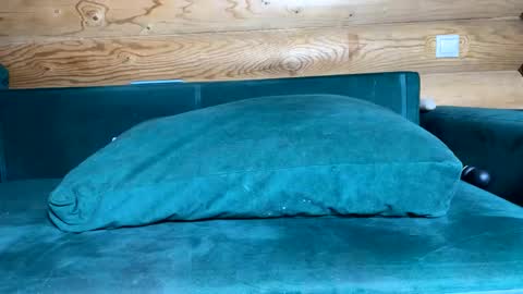 Snapshot of bohemianrhapsody1 chatting on 10-21-25, 09:10 Nail and Olivia online show from 10-21-25, 09:10