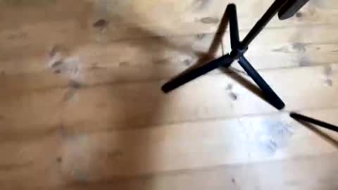 Snapshot of bohemianrhapsody1 chatting on 12-04-25, 10:57 Nail and Olivia online show from 12-04-25, 10:57