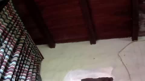 bokeronconganas online show from 06-03-26, 02:33