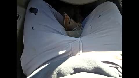 bombinshaman online show from 01-12-26, 04:34