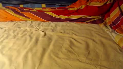 Bomm65 online show from 12-01-25, 07:41