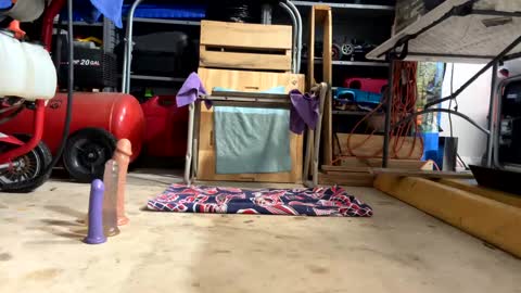 Snapshot of bone2play chatting on 02-18-25, 02:38 FRECKLES online show from 02-18-25, 02:38
