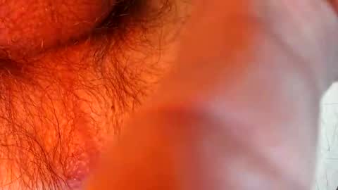 Snapshot of bonnie312 chatting on 09-18-25, 04:09 bonnie312 online show from 09-18-25, 04:09