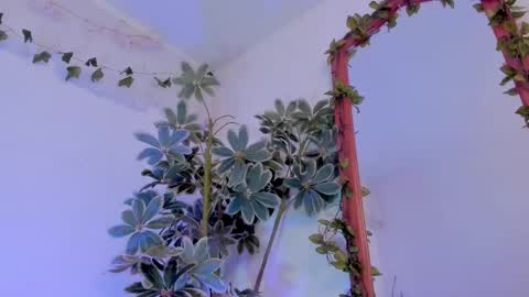   online show from 03-19-26, 12:25