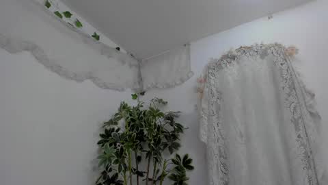   online show from 07-10-26, 12:37