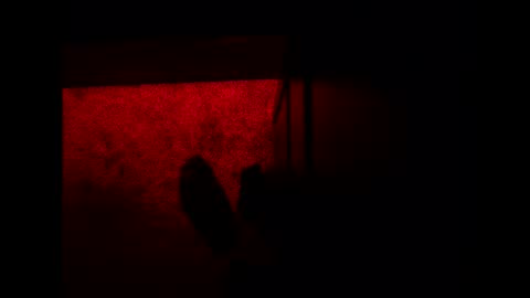 Snapshot of bonny8723 chatting on 11-03-25, 10:21 bonny8723 online show from 11-03-25, 10:21