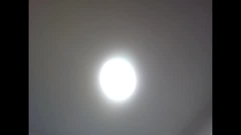 Snapshot of bonop1 chatting on 04-02-26, 04:37 bonop1 online show from 04-02-26, 04:37