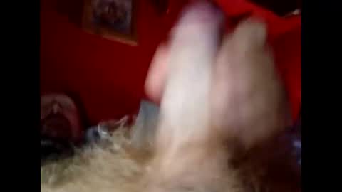 bonzoband online show from 12-20-24, 10:05