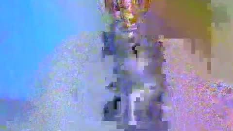 boobbyb online show from 10-24-25, 08:22