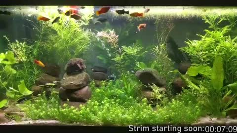 Booker Baxton online show from 12-08-24, 04:04