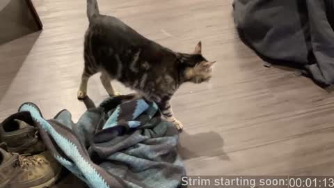 Booker Baxton online show from 12-28-24, 04:08