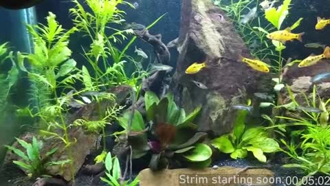 Booker Baxton online show from 01-05-25, 04:04