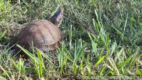 Booker Baxton online show from 01-11-25, 04:06