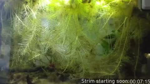 Booker Baxton online show from 01-15-25, 04:04