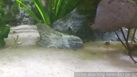 Booker Baxton online show from 03-12-25, 03:02