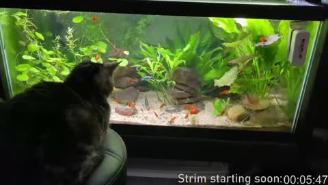 Booker Baxton online show from 09-09-25, 03:06