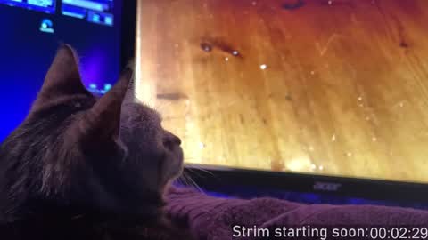 Booker Baxton online show from 11-16-25, 04:07