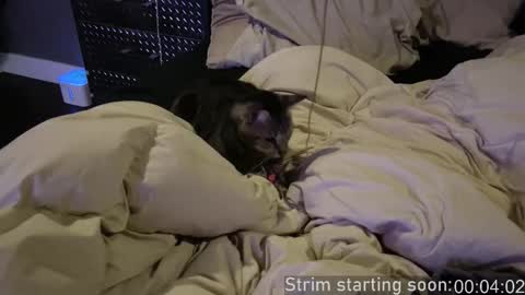 Booker Baxton online show from 12-17-25, 04:07