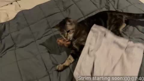 Booker Baxton online show from 01-10-26, 04:03