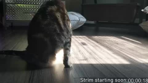 Booker Baxton online show from 04-21-26, 03:02