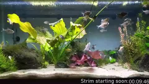 Booker Baxton online show from 04-22-26, 02:58