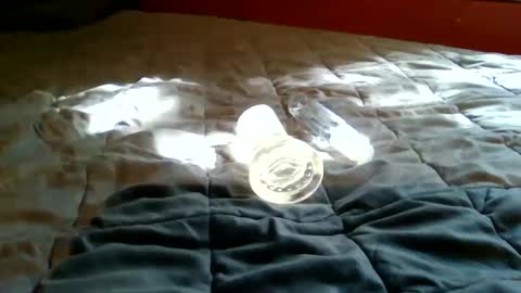 Bootsy online show from 09-22-25, 07:49