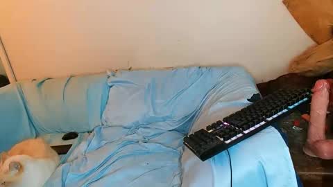 boredandirish21 online show from 10-04-25, 04:49