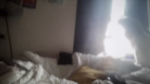 borkaa777 online show from 06-20-26, 10:07
