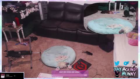 TheBoundBunny online show from 03-07-26, 01:13