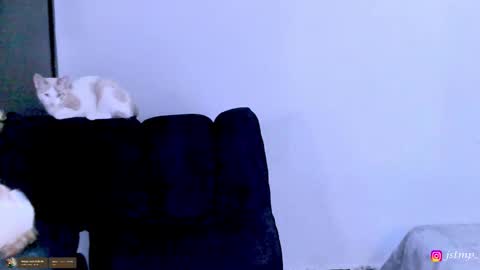 Snapshot of boylatin_777 chatting on 11-24-25, 03:06 miguel online show from 11-24-25, 03:06