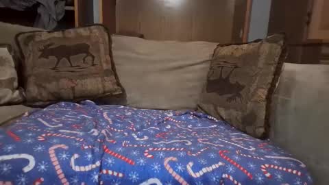 smoothslutfordaddy online show from 02-12-26, 06:58