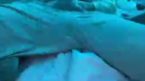 BoyToyBenny online show from 06-25-26, 07:24