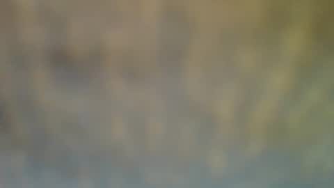 Snapshot of bradynoggle chatting on 02-12-25, 06:40 bradynoggle online show from 02-12-25, 06:40