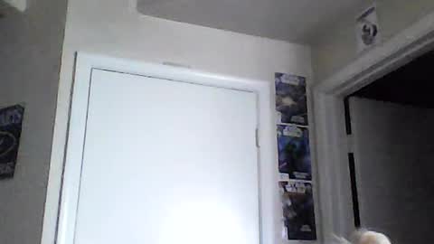 Snapshot of braindeadbetty chatting on 06-15-26, 02:08 i am a naughty jedi knight online show from 06-15-26, 02:08