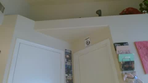 Snapshot of braindeadbetty chatting on 07-29-26, 02:04 i am a naughty jedi knight online show from 07-29-26, 02:04