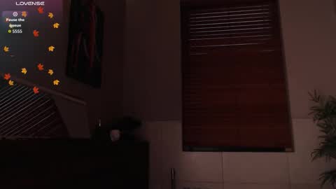 brandon_starkk online show from 02-23-26, 11:51