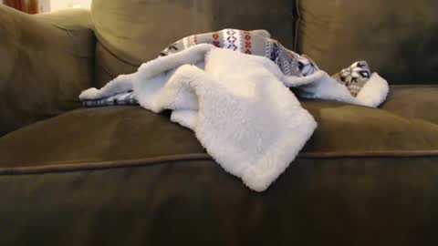 Snapshot of brandondot chatting on 12-31-24, 08:04 brandondot online show from 12-31-24, 08:04