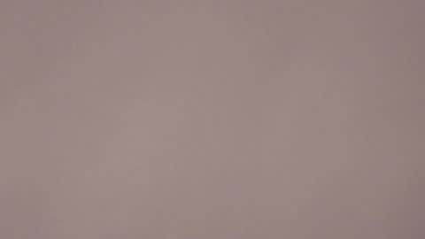 Brandy online show from 01-17-26, 07:24