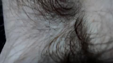 branflakes_ online show from 02-21-25, 11:10