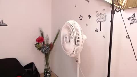 Snapshot of brenda_maz chatting on 01-29-25, 03:15 Brenda  online show from 01-29-25, 03:15