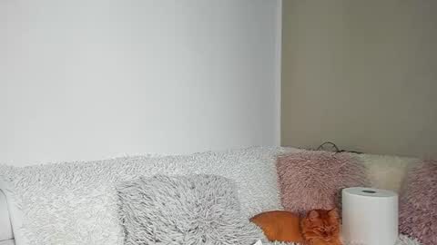 brianadiamondxxx online show from 07-09-26, 06:17