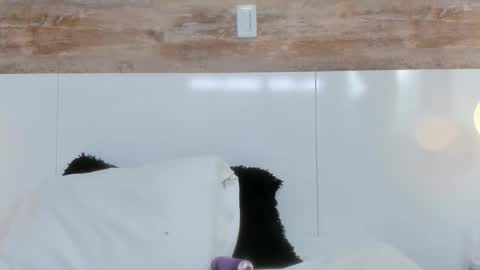 Snapshot of brianna_beltran chatting on 04-12-26, 11:04 brianna_beltran online show from 04-12-26, 11:04