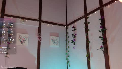 Brie  Ill be away November 2829 and 30. See u on Sunday for more fun online show from 02-03-25, 08:57