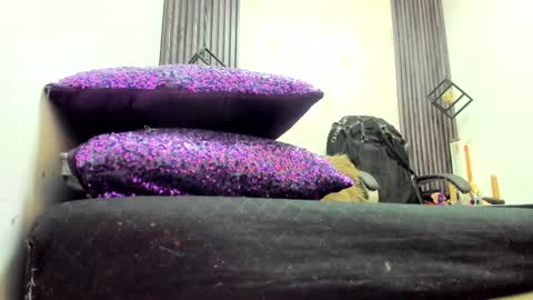 BRIGITTE online show from 03-11-25, 08:31