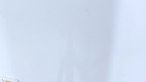 Brittany  online show from 02-20-25, 02:18