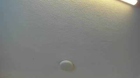 Brittany  online show from 04-19-26, 07:38