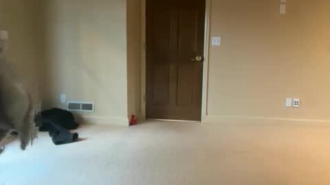 brookepatterson online show from 12-04-25, 06:16